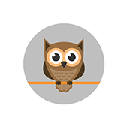 Funny Owl Wallpaper HD