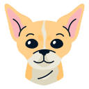 Chihuahua HD Wallpapers Dogs N Puppies Theme Chihuahua HD Wallpapers Dogs N Puppies Theme