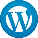 WordPress Theme Detector and Plugins Detector