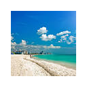 Miami Wallpapers Theme New Tab