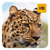 Leopard Wallpaper HD New Tab Theme