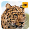 Leopard Wallpaper HD New Tab Theme Leopard Wallpaper HD New Tab Theme