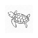 Sea Turtle Wallpapers HD Theme Sea Turtle Wallpapers HD Theme