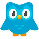 Duolingo Spaced Repetition