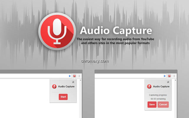 【图】Audio Capture for Chrome™ (录音机)(截图1)