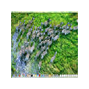Dialstring Desktop Streamer