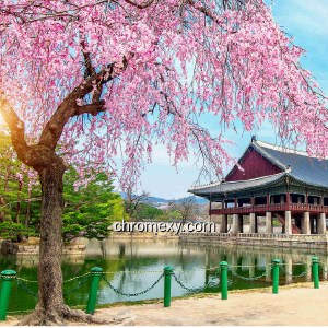 South Korea HD Wallpapers New Tab