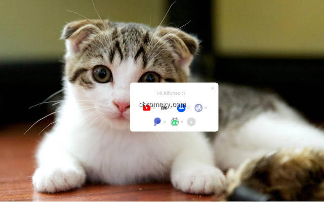 【图】Tabby Cat – New cats with each new tab(截图1)
