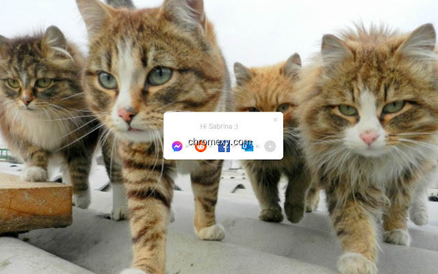 【图】Tabby Cat – New cats with each new tab(截图2)