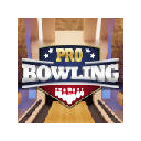 Pro Bowling 3D Game