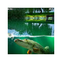 Willow Pond Fishing