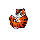 Tiger Fitness Chrome Extension Tiger Fitness Chrome Extension