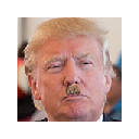 Trump to Orange Hitler