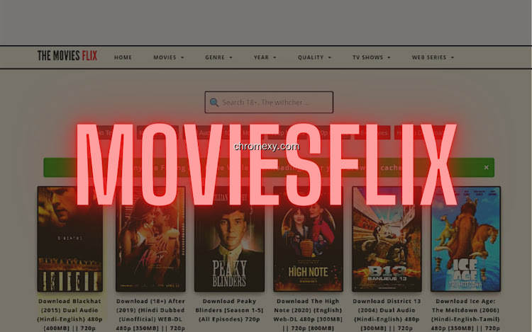 【图】MoviesFlix | Watch online – website(截图1)