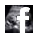FB Ultrasound Edition
