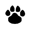 Red Fox Snow Theme