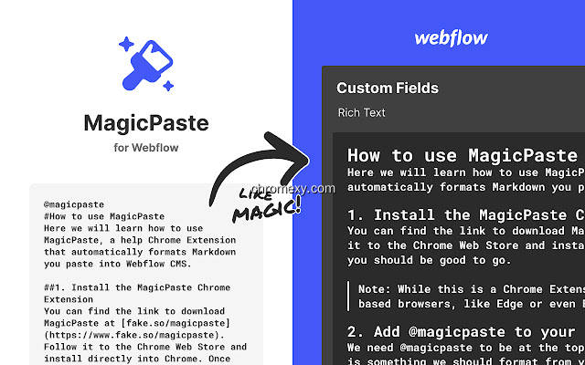 【图】MagicPaste for Webflow(截图 0)