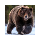 Bear New Tab & Wallpapers Collection