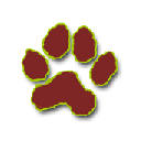 Meow, The Cat Pet