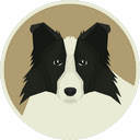 Border Collie Dog Backgrounds HD Dogs New Tab