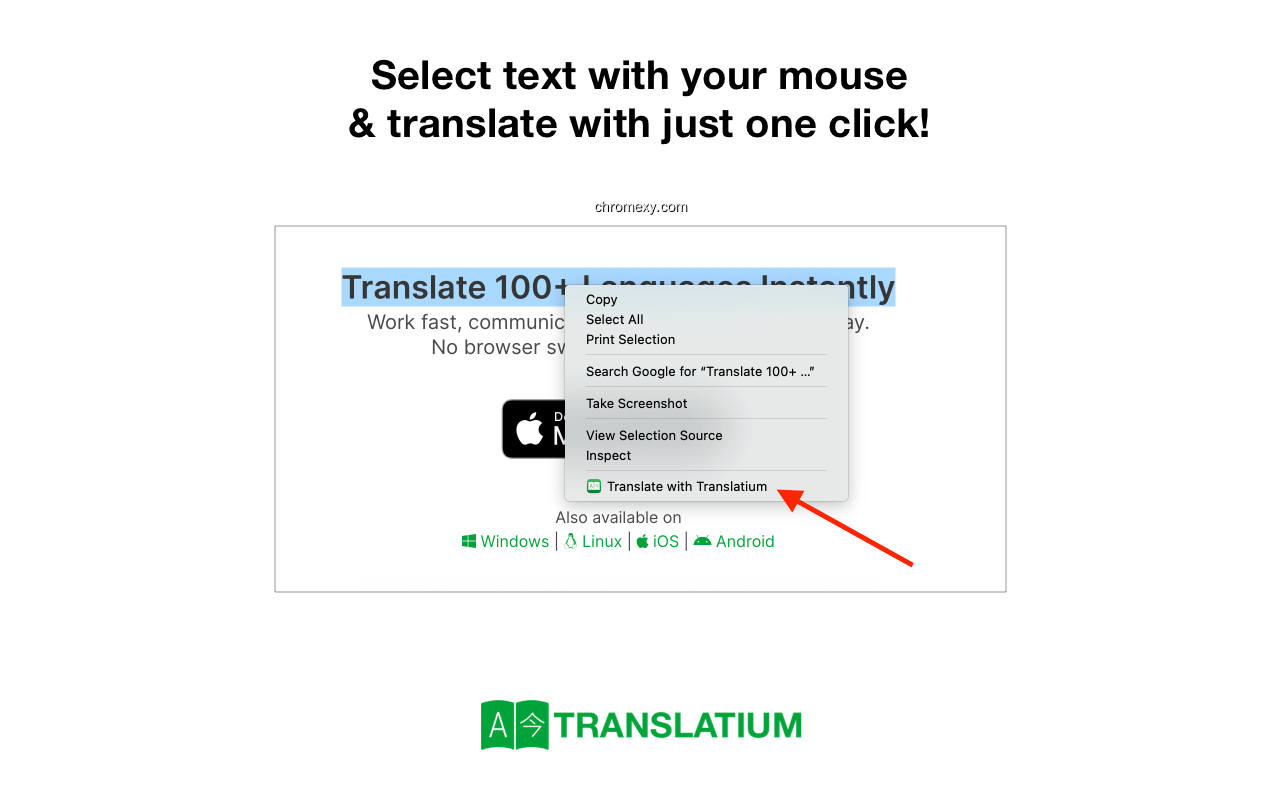 【图】Translate with Translatium(截图1)