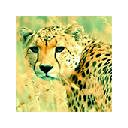 Wild Cats Wallpaper for New Tab