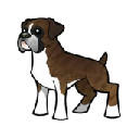 Boxer HD Wallpapers Dogs and Puppies Theme