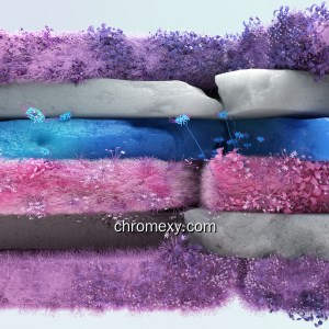 Pride – Bigender