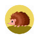 Hedgehog Wallpapers HD Cute Hedgehogs New Tab