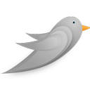 Silver Bird