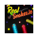 Real Snakes io Game
