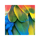 Parrot New Tab & Wallpapers Collection