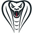 VipeR FIFA FUT 21 Sniper/AutoBuyer/AutoTrader