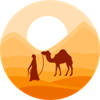Camels HD Wallpapers – Custom New Tab