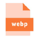 Bulk Images to WebP Converter