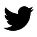 pretweetify