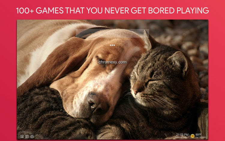 【图】Cats & Dogs Wallpapers & Cats & Dogs Games(截图2)