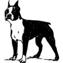 Boston Terrier Backgrounds & New Tab