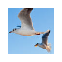 Background Wallpapers Theme New Tab