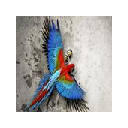 Bird Full HD