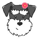 Mad About Schnauzer’s