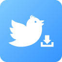 Twitter Video Downloader – Twitter to MP4