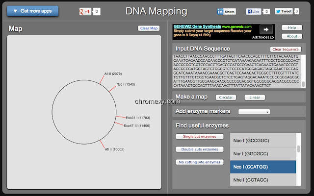 【图】DNA Mapping(截图2)