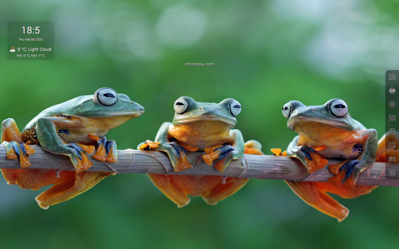 【图】Frogs HD Wallpapers – Custom New Tab(截图2)