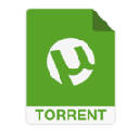 Torrent magnet finder