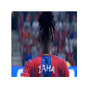 Wilfred Zaha Themes & New Tab