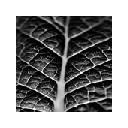 Zoob’s Mesh Tab Page