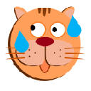 Funny Chubby Cat Exercice New Tab Theme