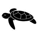 Sea Turtle Wallpapers Theme Sea Turtle Wallpapers Theme