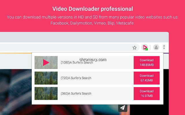 【图】Video Downloader professional(截图1)